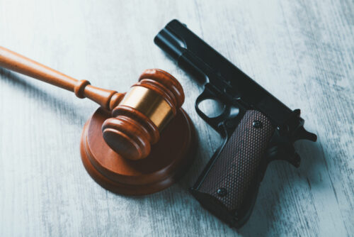 gavel and gun